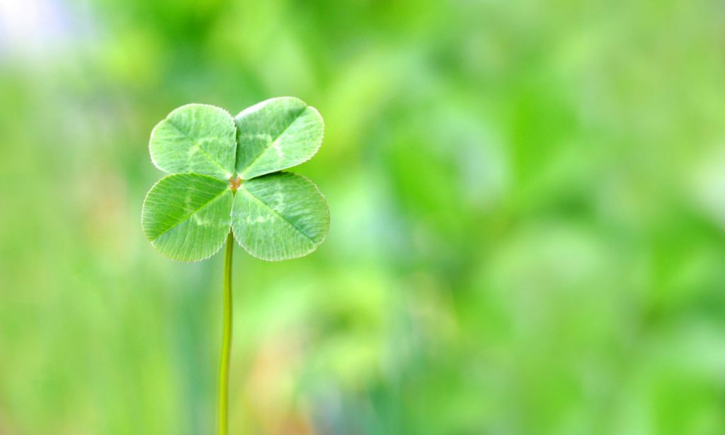 画像に alt 属性が指定されていません。ファイル名: cropped-4leafclover-1024x614.jpg